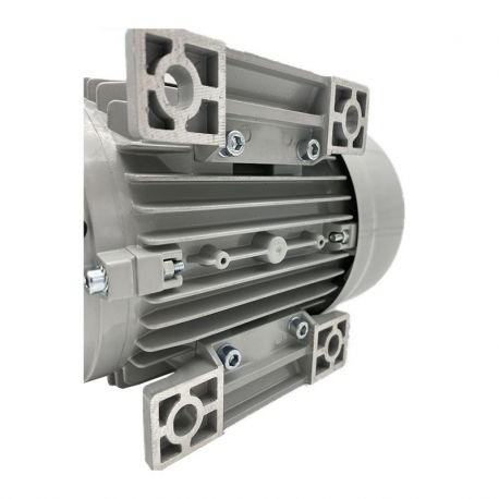 Moteur bi-vitesse ALMO B3, 0.2/1.5kW, 500/1000TR/MIN, HA 100, 400V, ALU