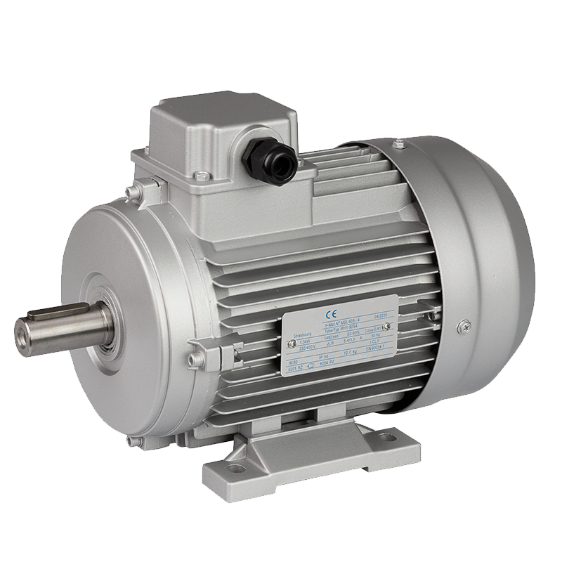 Moteur Électrique Monophasé 0,09 KW 0,12 CV 220V 1500 Tr/min B3 Pattes - Taille 56 Axe 9mm