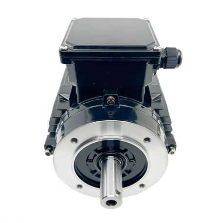 Moteur Électrique Triphasé 3kW/4CV, 3000Tr/min, 400/690V, B14, HA100, IE3, Alu - CEMER