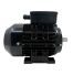 Moteur Monophasé 1.1 kW 3000 Tr/Min 230V B35 - Condensateur Permanent - 2MY802 CEMER