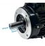 Moteur Monophasé 0.12 kW 1500 Tr/Min 230V 4MY631 B14 - Condensateur Permanent - CEMER