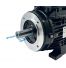 Moteur Monophasé 0.25 kW 1000 Tr/Min 230V 6MY712 B34 - Condensateur Permanent - CEMER
