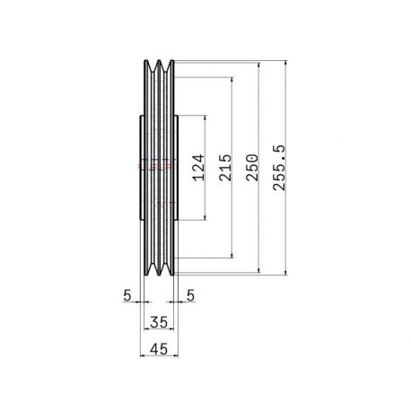 Poulie trapézoïdale SPA / A - 2 gorges - Ø250 mm - Moyeu amovible 2517 - Fonte