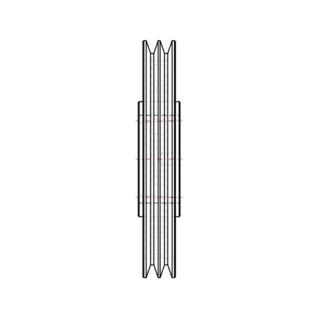 Poulie trapézoïdale SPA / A - 2 gorges - Ø250 mm - Moyeu amovible 2517 - Fonte