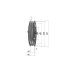 Poulie trapézoïdale SPB / B - 2 gorges - Ø250 mm - Moyeu amovible 2517 - Fonte