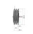 Poulie trapézoïdale SPC / C - 2 gorges - Ø224 mm - Moyeu amovible 3020 - Fonte