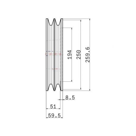 Poulie trapézoïdale SPC / C - 2 gorges - Ø250 mm - Moyeu amovible 3020 - Fonte