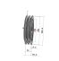Poulie trapézoïdale SPC / C - 2 gorges - Ø280 mm - Moyeu amovible 3535 - Fonte