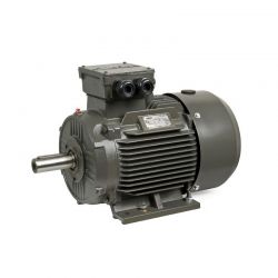 Moteur triphasé CEMER B3, 11 KW, 3000 TR/MIN, HA 160, 400/690V, IE3, Fonte