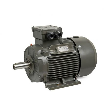 Moteur triphasé CEMER B3, 11 KW, 1500 TR/MIN, HA 160, 400/690V, IE3, Fonte