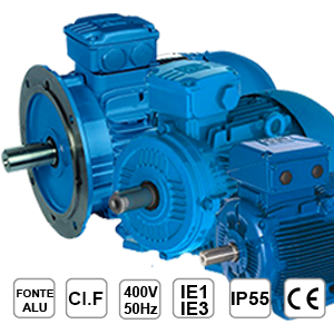 Moteur triphas&eacute; 380V
