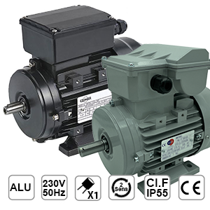 Moteur à condensateur permanent