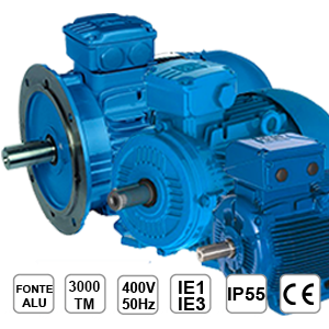 Moteur électrique triphasé 3000tr/min